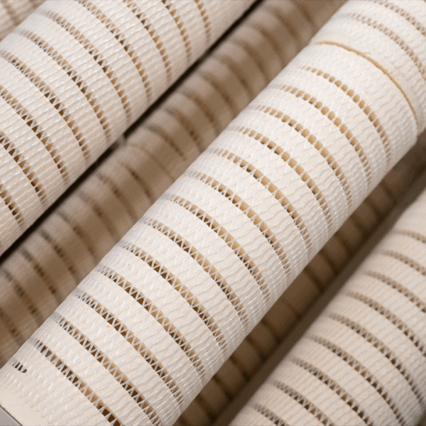 Mountain Tree Lotus Root Bacteria 24,5 x 8,5 cm 15 piezas