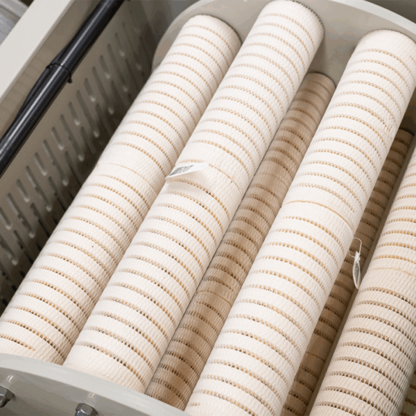 Mountain Tree Lotus Root Bacteria 24,5 x 8,5 cm 15 piezas